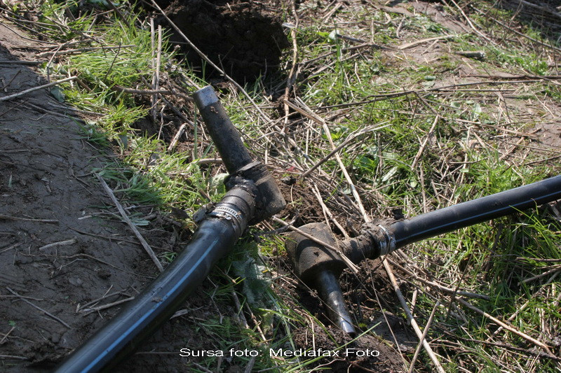 Hotii pacaliti de debitul dintr-o conducta de titei. Tone au ajuns pe camp