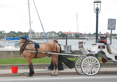 5 poze despre care ai crede ca sunt lucrate in Photoshop