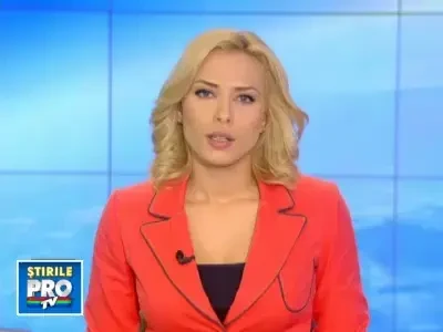 Cei mai frumosi cai, la o expozitie la Sibiu. Un exemplar, 40.000 de euro