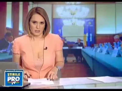 Wikileaks: Guvernul de la Bucuresti este ca o rata schioapa