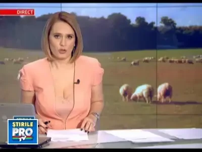 Circuitul mielului de Paste: noi cumparam de la bulgari si vindem la arabi