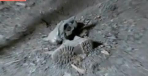 Copilul de 14 ani, care si-ar fi ucis presupusul agresor, a fost arestat