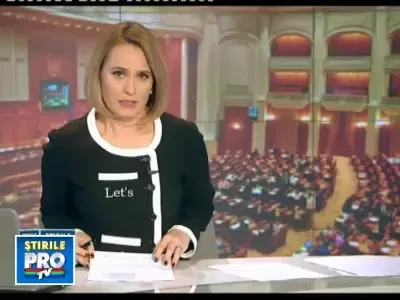 Cainii fara stapani, ucisi in 30 de zile daca nu-i ia cineva din adaposturi