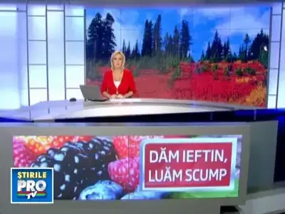 Vindem toate fructele de padure in strainatate. Noi mancam din Olanda