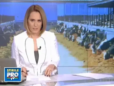 Lapte uman produs de vaci modificate genetic. Englezii sunt revoltati