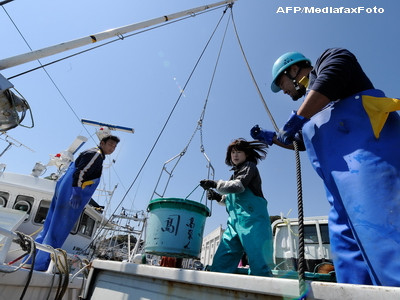 Piata auto din Japonia a avut cea mai slaba luna inregistrata vreodata
