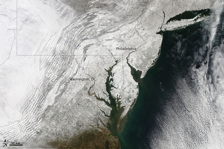 Alerta pe Glob. Gheata de la Polul Nord se va topi in intregime
