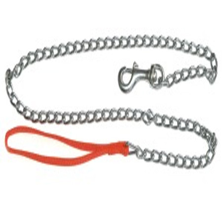 Franta: a plimbat un roman cu o lesa legata de... sex