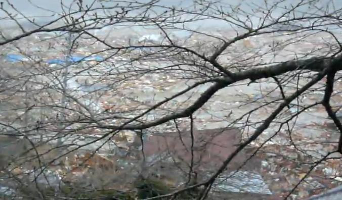 IMAGINI NEMAIVAZUTE. Japonezii fug din calea valurilor seismice uriase