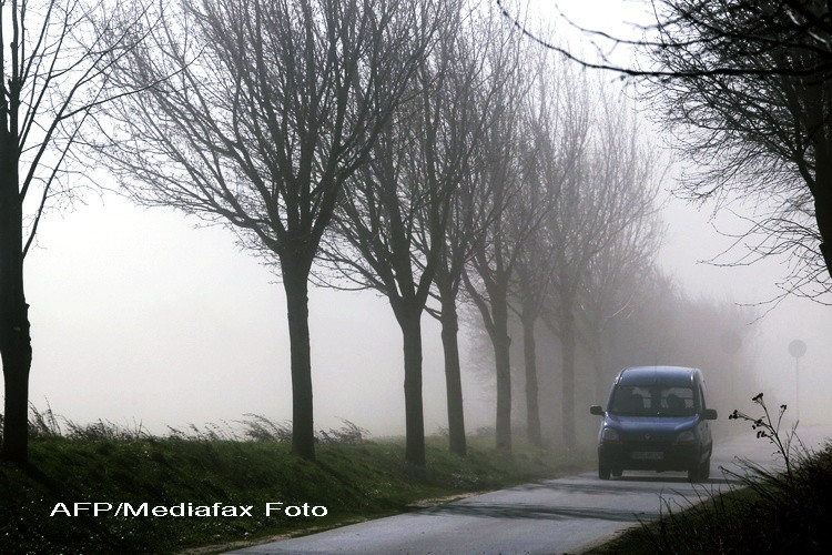 Fenomene meteo periculoase in Timis si Caras-Severin. Vantul va bate in rafale ce vor depasi 60km/h
