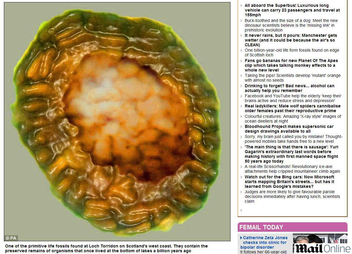 Fosila veche de 1 miliard de ani, descoperita in Scotia