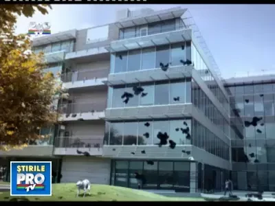 Stirile ProTv de la 7.00 cu Mihai Dedu si Andreea Liptak - 15.04.2011