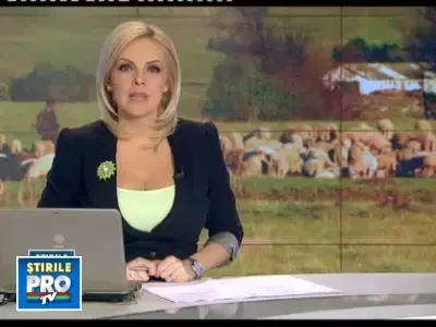 Urmeaza saptamana patimilor pentru miei. S-a ajuns la 22 lei/ kg de carne