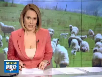 Visati la carne de miel pe masa de Paste? Kilogramul costa in jur de 20 lei