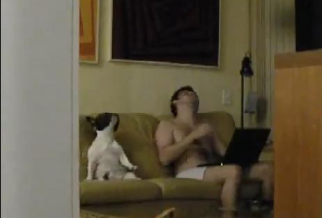 Pinga, cainele care adora hip-hopul. Vezi o demonstratie pe cinste