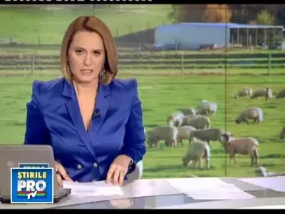 Afla ce boli risti cumparand carne de miel neverificata de veterinari