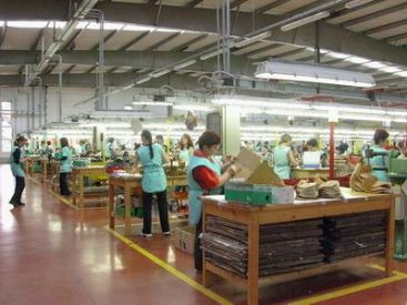 Romania la export: japonezele se demachiaza cu lapte Doina