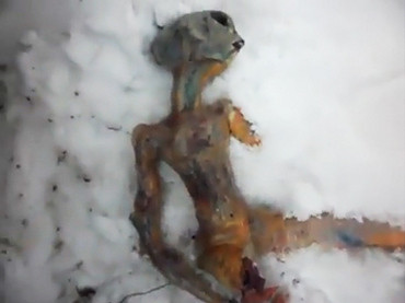 Extraterestrul din Siberia, o mare pacaleala. E facut din paine si pui