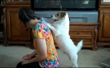 Jesse, catelul bun la toate. E menajera perfecta si face masaj. VIDEO