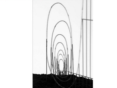 Caruselul Eutanasierii - ultima distractie inainte de moarte