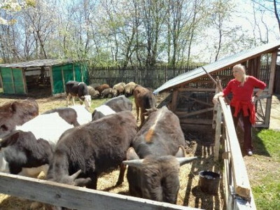 Dana Nastase la Cornu