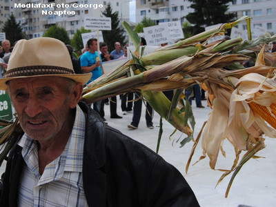 Vanatoarea celor care lucreaza la negru. Noul Cod al Muncii din 2 mai
