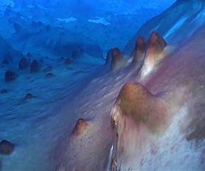 S-a descoperit locul unde a inceput viata pe planeta Pamant. FOTO