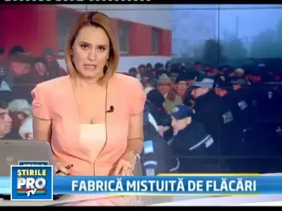 Ancheta dupa ce Boc a fost intampinat la Valcea cu huiduieli si oua vopsite