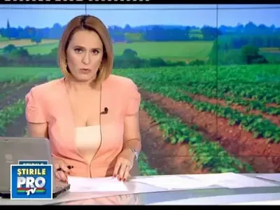 Cartofii romanesti, pe cale de disparitie. Importam, insa, cat cuprinde