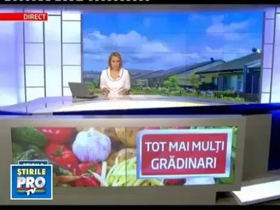 Satui de E-uri, romanii au inceput sa isi cultive singuri legumele