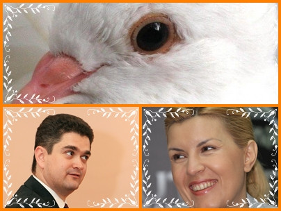 Declaratie foarte serioasa. Paleologu crede ca Elena Udrea e o "porumbita"