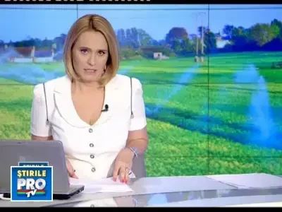 Romania ar putea redeveni granarul Europei. E nevoie de 3,6 miliarde euro