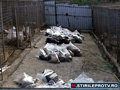 Unii spun "crima", altii "eutanasiere". Controversa la Botosani