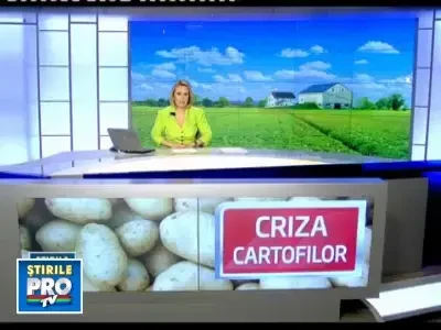 Nu s-a renuntat la cartoful romanesc. Agricultorii, dispusi sa investeasca