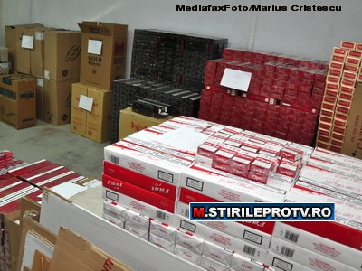 Depozit clandestin de tigari. Patru camioane cu "marfa" asteptau clienti