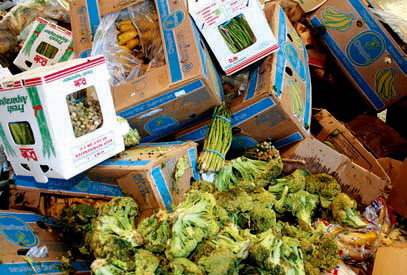 De ce cred freeganii rusi ca populatia planetei ar trebui sa mance gunoaie