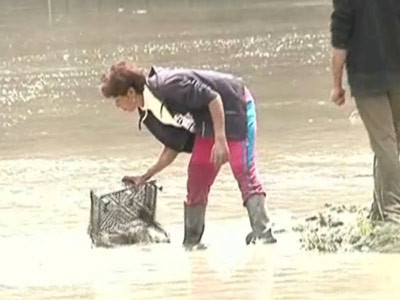 VIDEO. "Dezlegare" la peste cu ladita, la barajul din Pucioasa