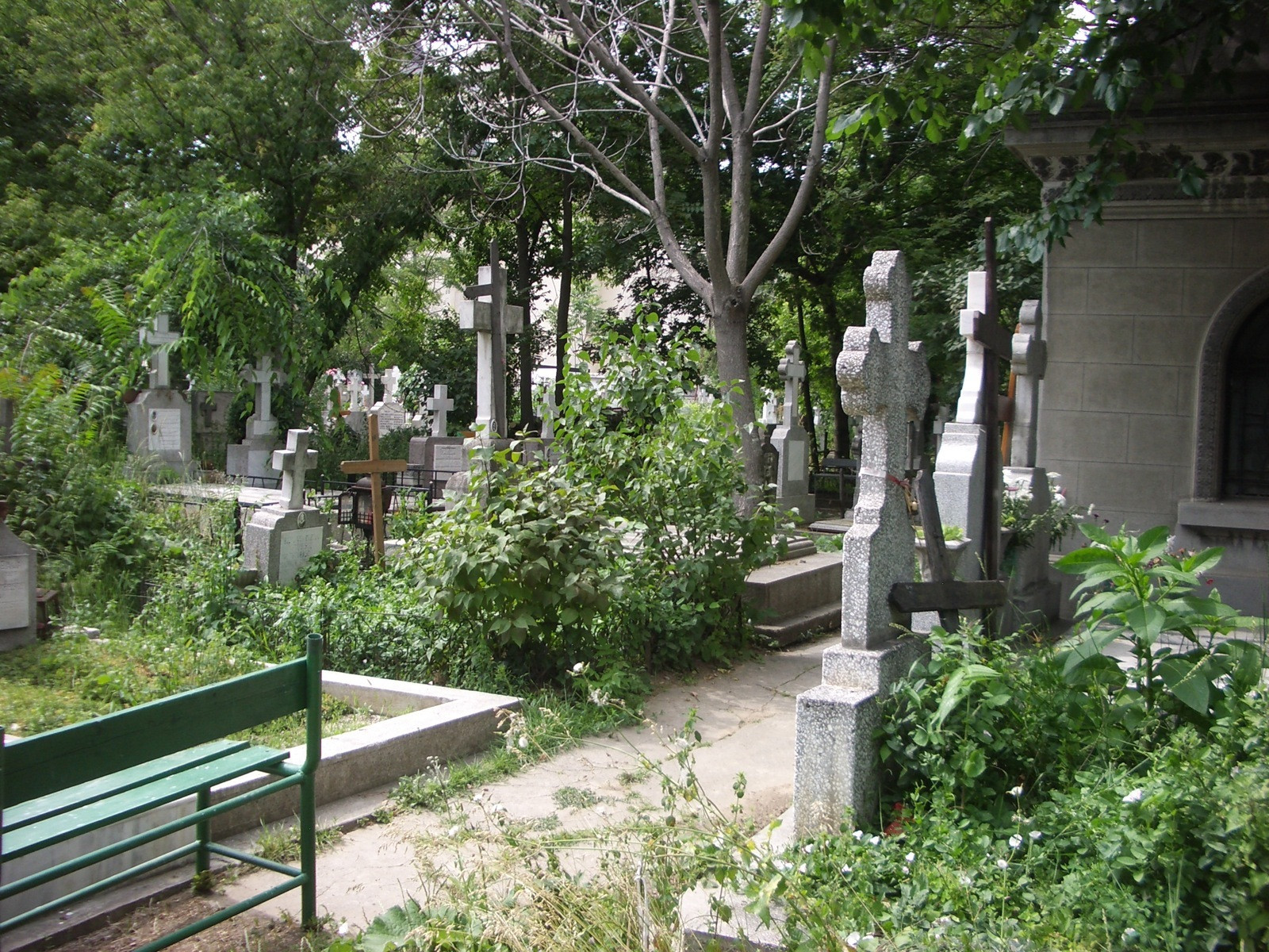 Sumele "dezgropate" din cimitire de "Seful Mortilor" si Clanul Tamango. Monopolul impus ducea pretul unui cavou la 12.000 EUR