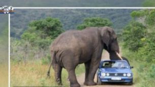 VIDEO/Nu ai mai auzit asa ceva!Cele mai stupide legi de circulatie din lume