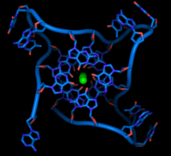 Scrie in gene cat mai ai de trait. Cat costa sa vezi cand vei muri