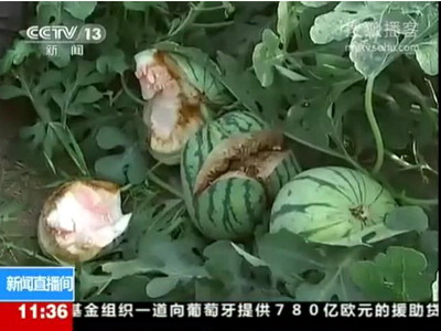 VIDEO. Noua "arma secreta" a Chinei