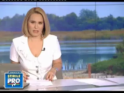 VIDEO SOCANT. Cai salbatici prinsi in padurea Letea si dusi la abator