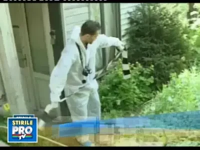 Stirile ProTV de la ora 07:00, din 19.05.2011