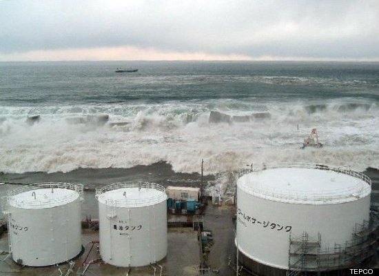 tsunami TEPCO