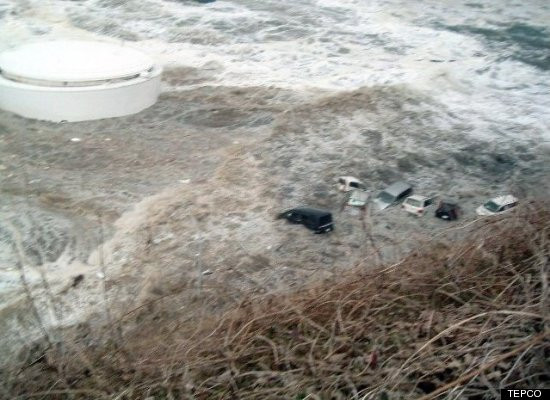 tsunami TEPCO