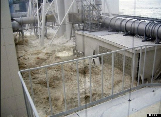 tsunami TEPCO