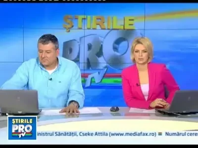 Aparitie rara in gradina unei englezoaice: un cangur topaia printre flori