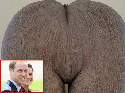 Will si Kate, cadou special in luna de miere. Cel mai puternic afrodiziac