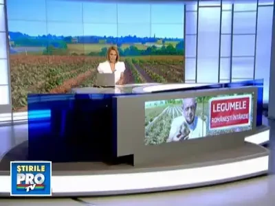 Vreme rea, rosii romanesti putine. Cum ajunge un kilogram sa coste 10 lei in piata