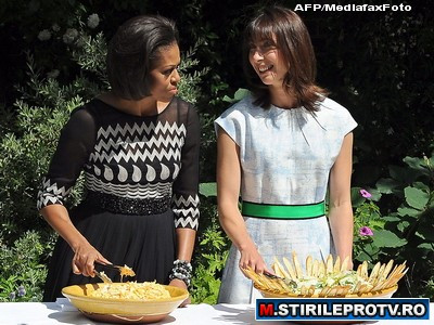 Michelle Obama si Samantha Cameron